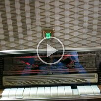 MVI_3654