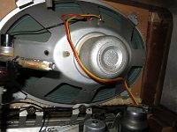 IMG 4901