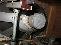 IMG 5731